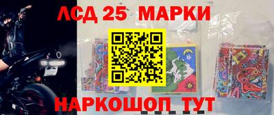 крисы Кулебаки