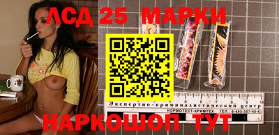 крисы Кулебаки