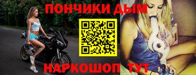 крисы Кулебаки