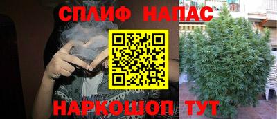 крисы Кулебаки