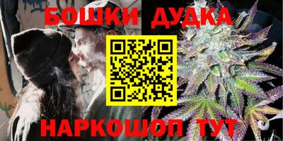 крисы Кулебаки