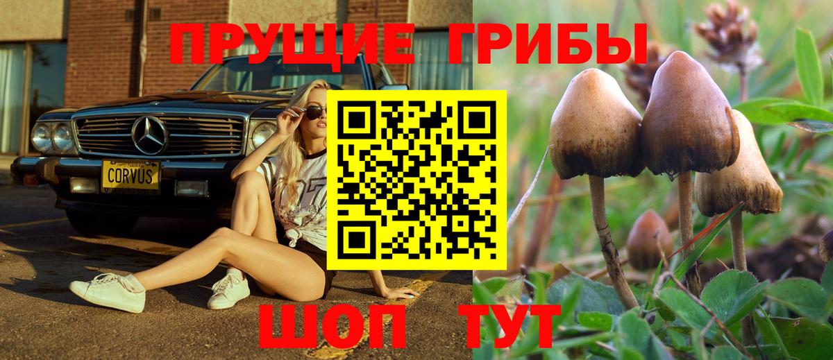 Куйбышев  Псилоцибиновые грибы мухоморы  Псилоцибиновые грибы Cubensis  Вход с VPN 